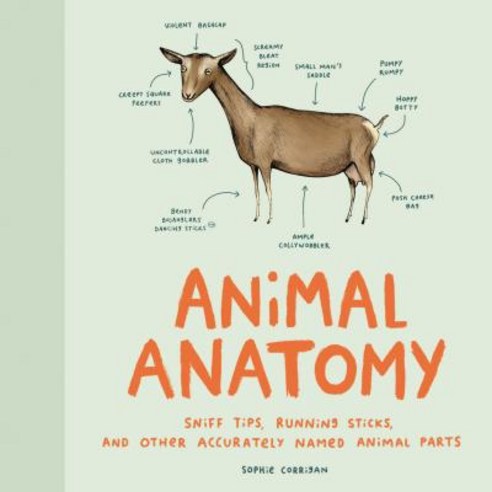 (영문도서) Animal Anatomy: Sniff Tips Running Sticks and Other Accurately Named Animal Parts Hardcover, Chronicle Books, English, 9781452174495