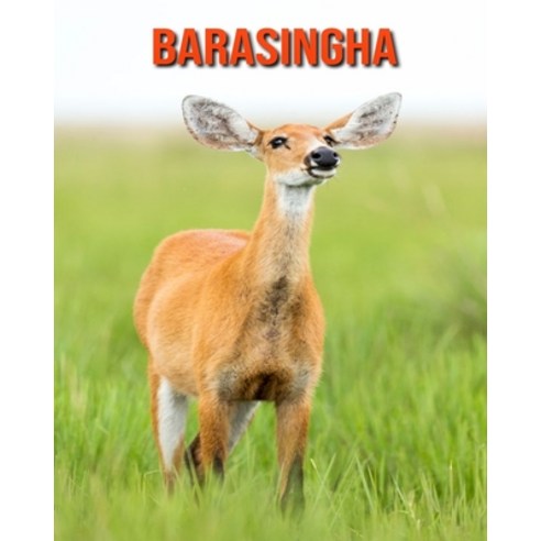 Barasingha: Beautiful Pictures & Interesting Facts Children Book About ...
