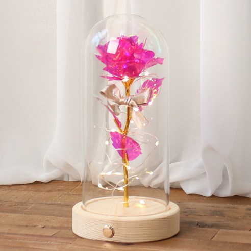 로맨틱노벰버 홀로그램 장미 유리돔 LED 무드등, 장미 핑크(네추럴)