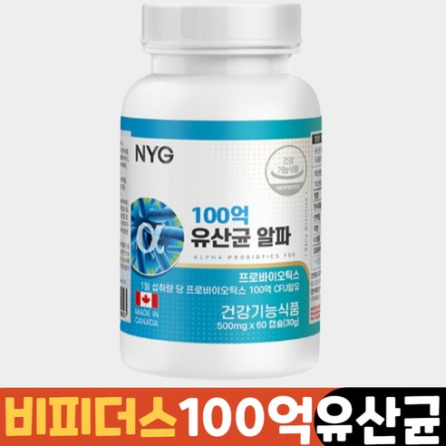 비피더스 100억 보장 유산균 백억 프로바이오틱스 생유산균 비피덤 롱검 b3 60캡슐, 1개