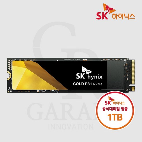 SK하이닉스 Gold P31 M.2 NVMe (1TB)