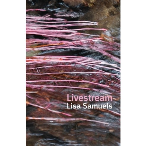 (영문도서) Livestream Paperback, Shearsman Books, English, 9781848618763