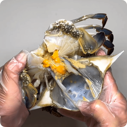 오늘 저녁, 싱싱한 제철 꽃게로 온 가족 행복 만찬!