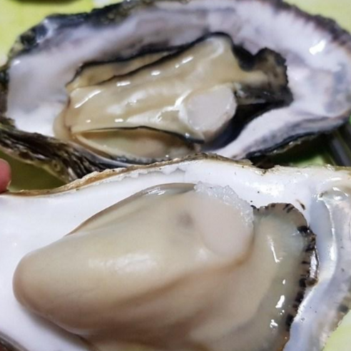 깔끔하고 신선한 통영산 석화굴