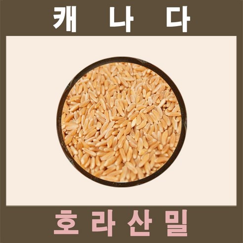 The큰나무 (3일특가) 캐나다산 호라산밀 5kg 착한 탄수화물, 1개