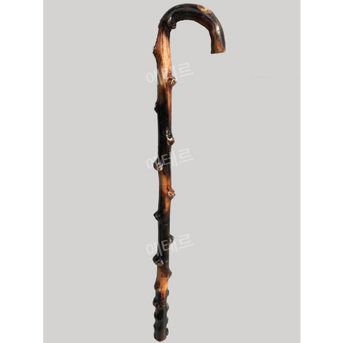 세월의 품격을 더하는 든든한 동반자, 명아주 지팡이 청려장