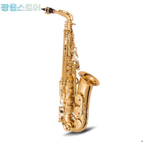 텅 빈 방을 울리는 나만의 선율, 색소폰 입문 도전기 입문용색소폰