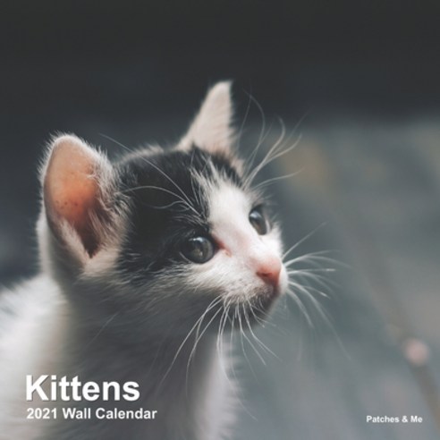 Kittens 2021 Wall Calendar: Mini Version Paperback, Independently Published, English, 9798555083241