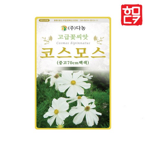 코스모스씨앗 중간키 백색 100립 고급꽃씨앗, 1개