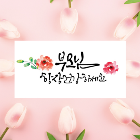 다양한 용도로 활용 가능한 화이트 디자인의 축하감사 용돈봉투 세트