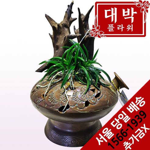 대박플라워 도부작 동양란 승진선물 취임 영전 이전 개업선물 부모님선물 꽃배달, 단일수량