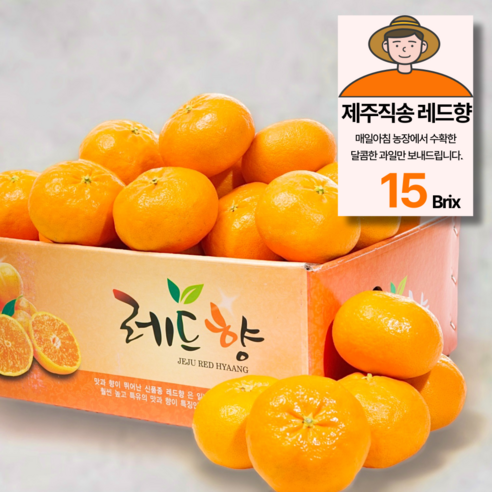 15brix 당도선별 제주 레드향 가정용, 1박스, 5kg(25과 내외)