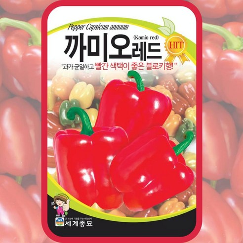 주주씨앗 과채류 씨앗 76종 모음 오이 수박 가지 참외 딸기 수세미 조롱박 호박 방울 토마토 여주 고추 멜론 애플 메론 파프리카 단호박 완숙 땅콩호박 머크아, 47. 땅콩호박 10립, 1개 주주씨앗 과채류 씨앗 76종 모음 오이 수박 가지 참외 딸기 수세미 조롱박 호박 방울 토마토 여주 고추 멜론 애플 메론 파프리카 단호박 완숙 땅콩호박 머크아, 47. 땅콩호박 10립, 1개