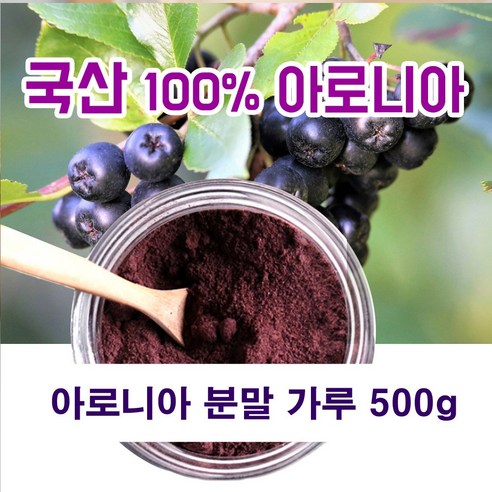 국내산 100% 아로니아 분말 가루 블랙초코베리 아로니아가루 500g, 1개 아로니아효능