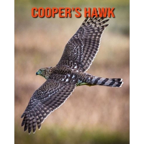 (영문도서) Cooper''s Hawk: Amazing Facts & Pictures Paperback, Independently Published, English, 9798509234941