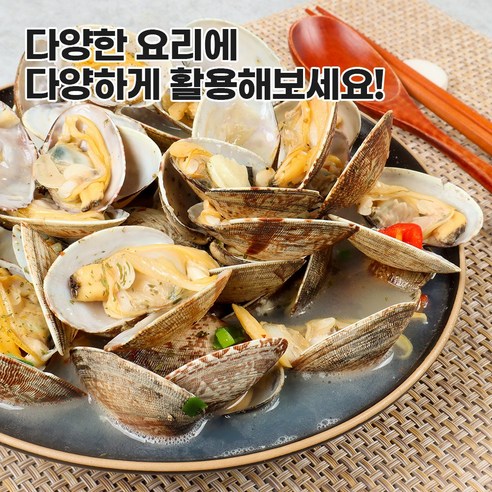 신선함이 넘치는 바다자리 다이버 왕 바지락