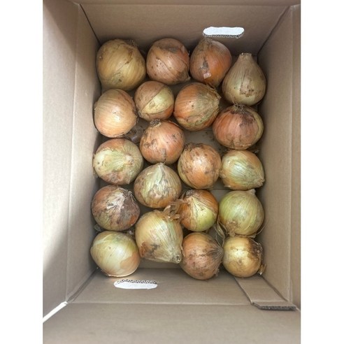 24년산 국내산 양파 3kg 5kg 10kg 햇양파 자색양파 무안양파 깐양파, 1개, 햇양파 특소3kg