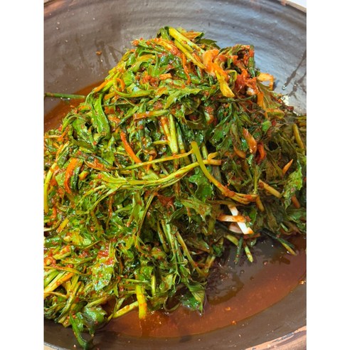 입맛 없을 땐 아삭아삭 홍화순 김치 장아찌