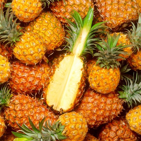 Dole 스위티오 파인애플 1수 1.3kg [SHN], 1개, 2수