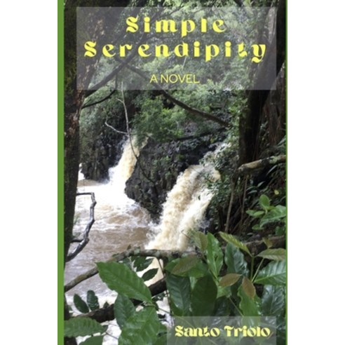 (영문도서) Simple Serendipity Paperback, Independently Published, English, 9798412103280