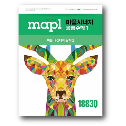 마플시너지 공통수학 1 (2025년) -2022 개정 교육과정 (사은품 증정), 수학영역