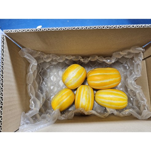 성주참외, 가정용(대) 2kg, 1개