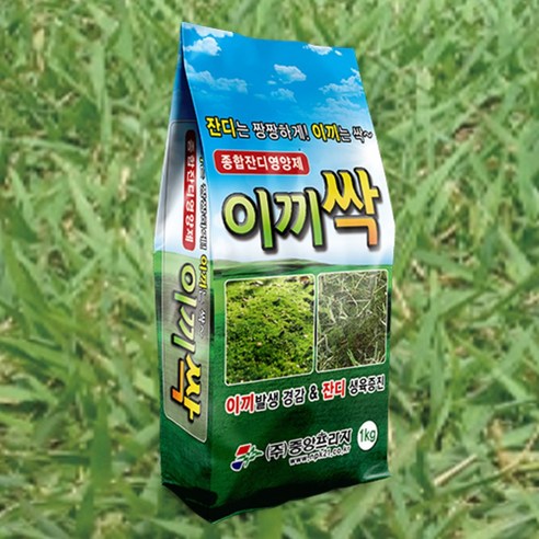 비료나라 I 중앙프라자 이끼싹(입제) 1키로 이끼제거 미량요소비료 미량요소복합 비료 잔디관리 잔디비료 수용성붕소 수용성모리브덴 청태제거, 1kg, 1개