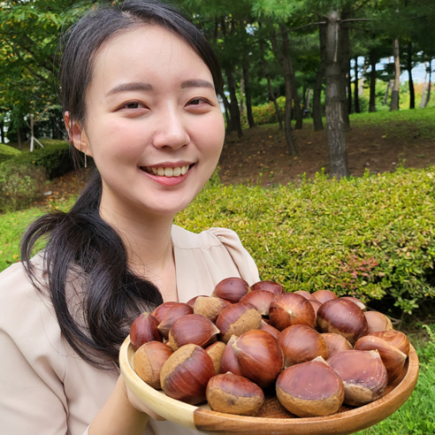 공자매 농축수산 햇알밤 옥광밤 공주정안알밤, 2kg, 1박스, 대보밤(대)