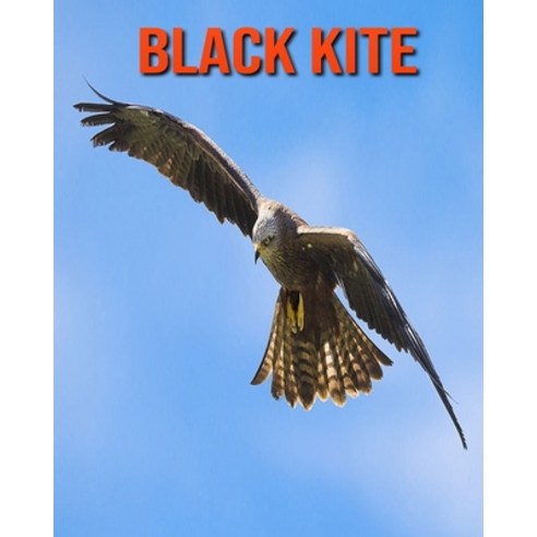 Black kite: Learn About Black kite and Enjoy Colorful Pictures Paperback, Independently Published, English, 9798694161053