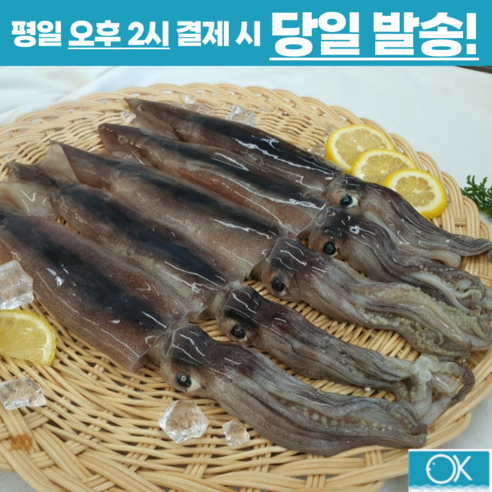 신선하고 맛있는 국내산 오징어의 탁월한 품질