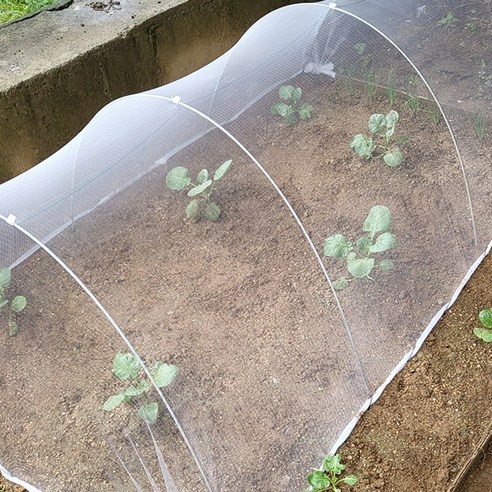 강선활대 미니 비닐하우스로 나만의 작은 정원을 디자인하고, 풍요로운 삶을 경험하세요.