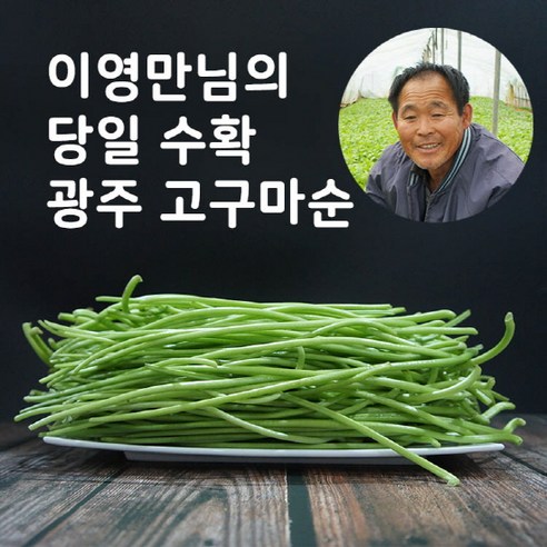 당일채취 이영만 고구마줄기 생 고구마순 1kg 옵션선택 잎제거 제철나물, 1개, 2kg