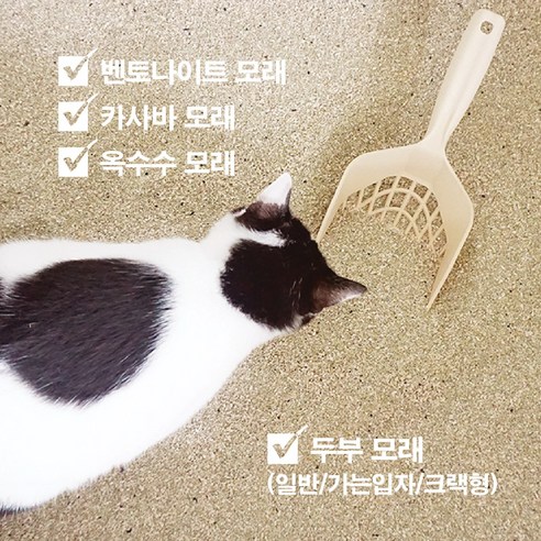 스파이더스쿱 하나로 집사와 고양이 모두를 행복하게