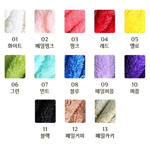 화연양화 파라리스, 사계절 내내 활용할 수 있는 아름다운 꽃