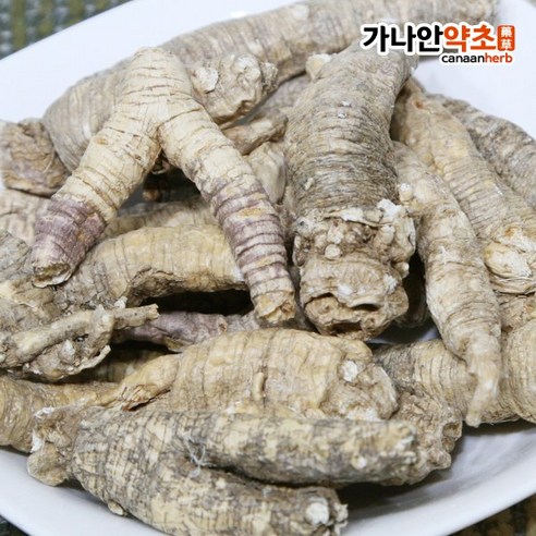 국내산 잔대(사삼 제니) 300g/강원 영월, 1개, 300g