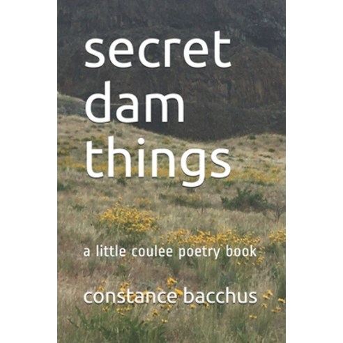 (영문도서) secret dam things: a little coulee poetry book Paperback, Independently Published, English, 9798519715003