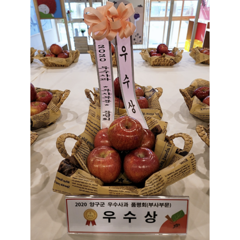 강원도 양구 펀치볼 꿀 사과: 해발 600m의 특별한 달콤함