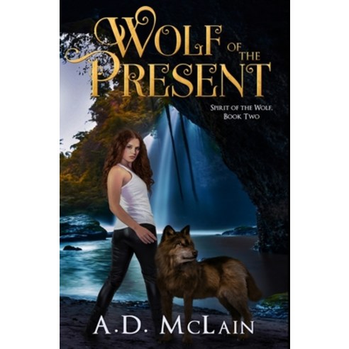 Wolf of the Present: Premium Hardcover Edition Hardcover, Blurb, English, 9781034431213