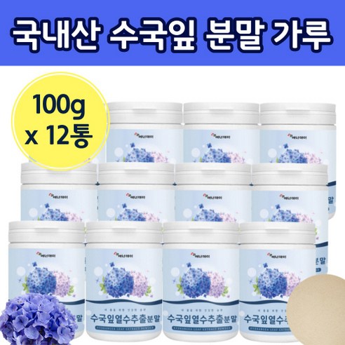 국내산 수국잎 열수 추출물 수국입 추출 분말 가루 파우더 6통 100g 차 물에 태워먹는 이드란제놀 필로둘신 사포닌 안토시아닌 썬버지놀 게르마늄, 6개