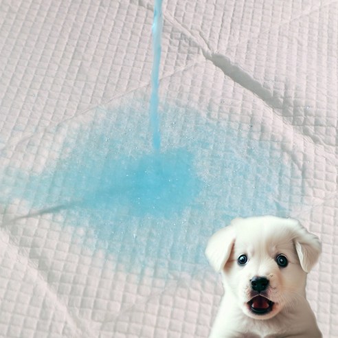 반려견의 쾌적함과 위생 관리를 위한 안심패드