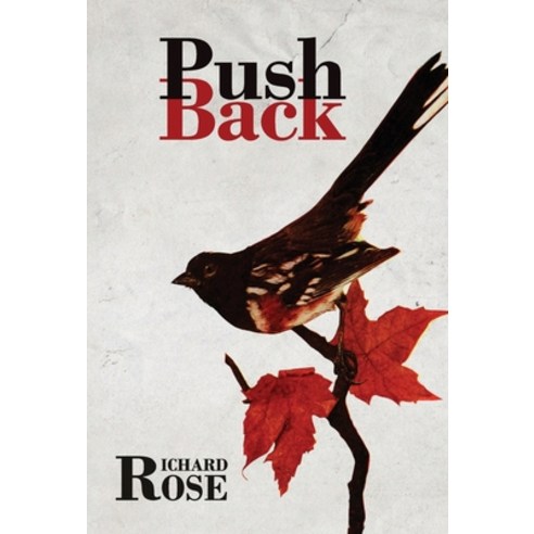 Pushback Hardcover, Atmosphere Press, English, 9781636495590
