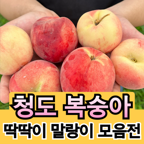 [농협납품농장] 당도높은 복숭아 4kg 딱딱이 말랑이, 딱딱이 복숭아, 1박스, 4kg (로얄과)