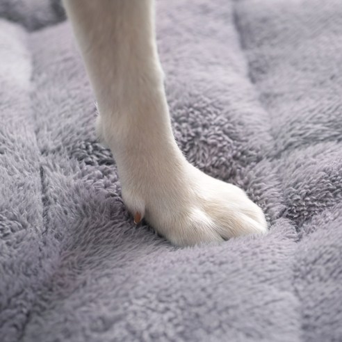 반려동물의 안락한 공간을 위한 최적의 선택