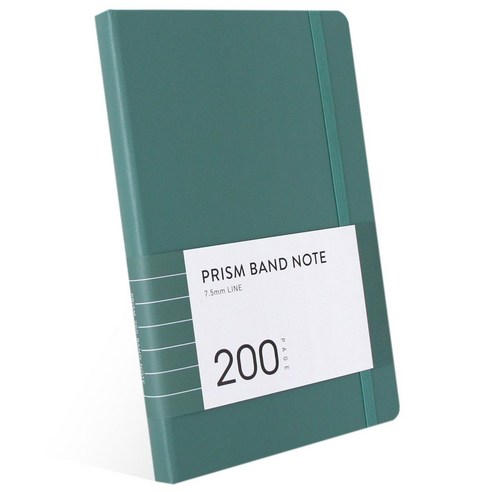 인디고 프리즘 200 밴드노트 라인, 블루그린, 1개