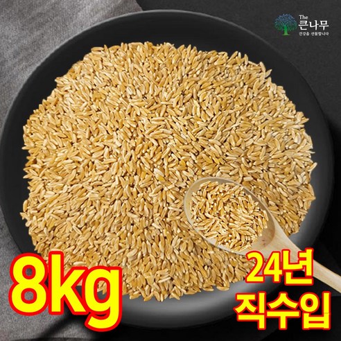 터키 호라산밀 수입사 직판 착한 탄수화물, 4kg, 1개