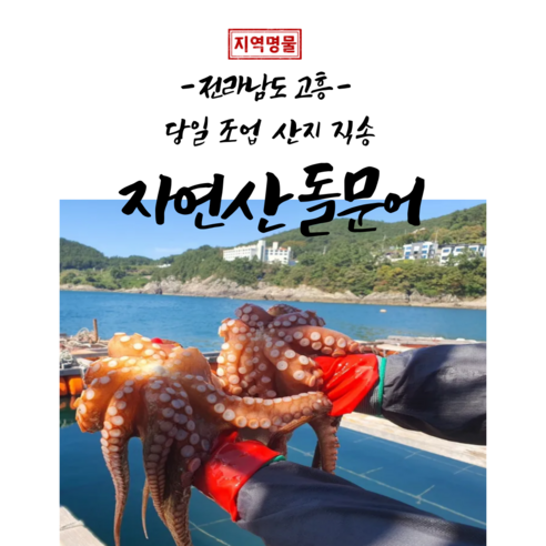 문어 고흥 활 돌문어 산지직송 당일조업, 1개, 1kg(4-5미 대왕문어가격