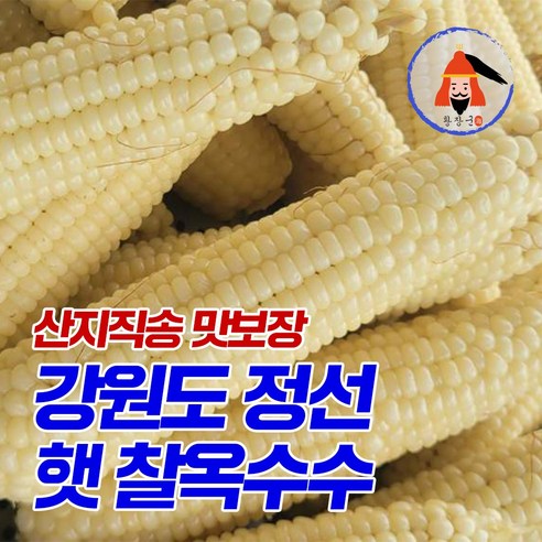 황장군 햇 당일수확 강원도 정선 여량농협 찰옥수수 특품, 50개