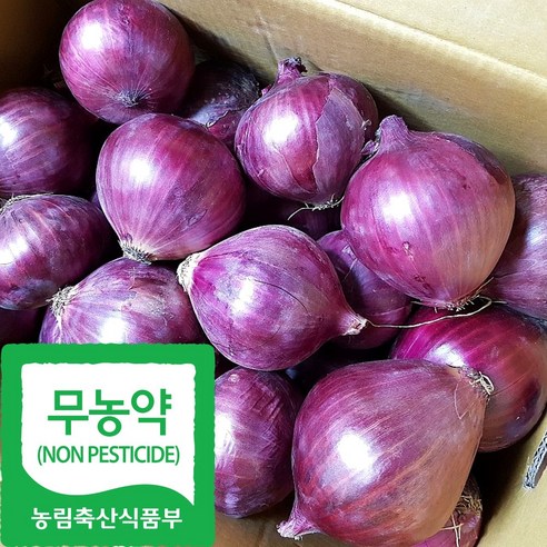 10kg와 함께 제공되는 국내산 친환경 자색 양파 한 박스