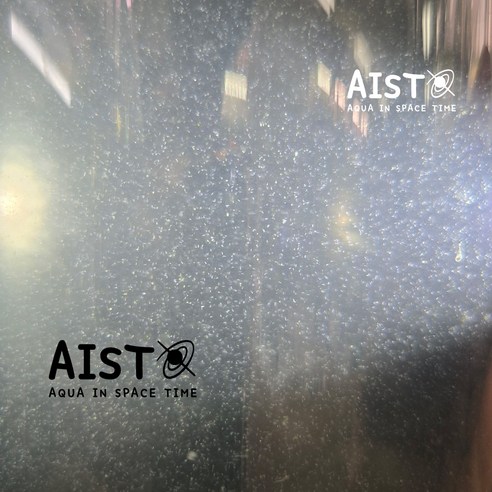 稚魚(치어) 키우기, 이젠 걱정 마세요! 인푸조리아 배양액으로 쑥쑥 키우는 비법 공개 인푸조리아