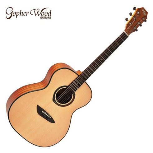 음악을 향한 첫걸음, 고퍼우드 G110과 함께